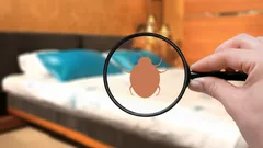 Yatak Odasında Tahtakuruları mı Var? Doğal Ev Çözümleriyle Onlardan Nasıl Korunulur?