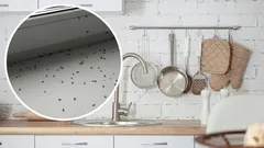 Mutfakta meyve sineğinden hızlıca kurtulmanın en etkili yolları