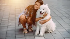 Veteriner önerisiyle en sevecen 5 köpek ırkı: Şehir hayatına uyumlu dostlar